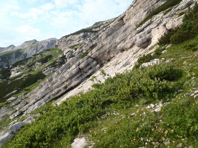 20130720 Orožn.,Črna p.Rodica Vogel Pl.Razor - foto