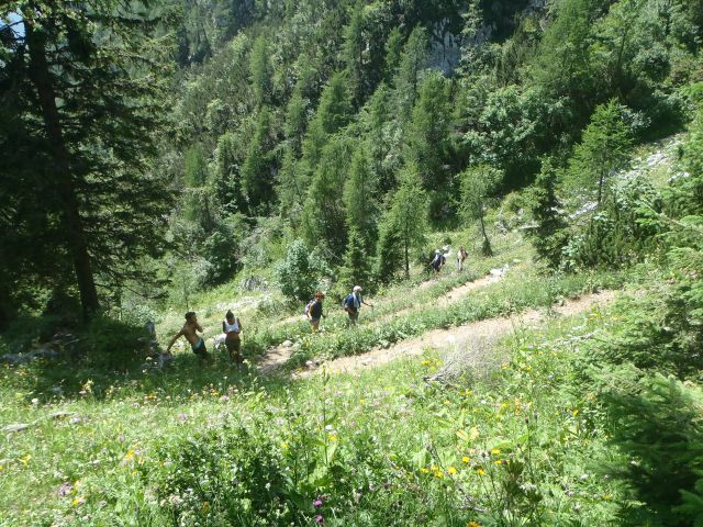 20130728 Viševnik - foto