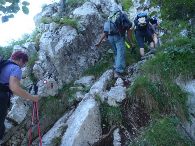 20130802 Komarča,Lepo špičje,Prehodavci - foto