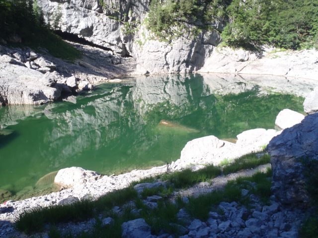 20130802 Komarča,Lepo špičje,Prehodavci - foto