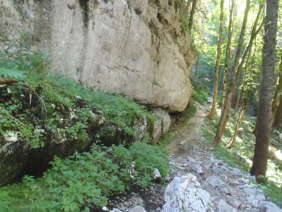 20130802 Komarča,Lepo špičje,Prehodavci - foto povečava