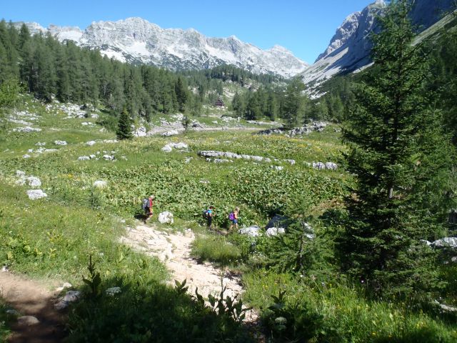 20130802 Komarča,Lepo špičje,Prehodavci - foto