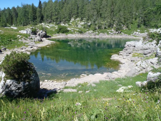 20130802 Komarča,Lepo špičje,Prehodavci - foto