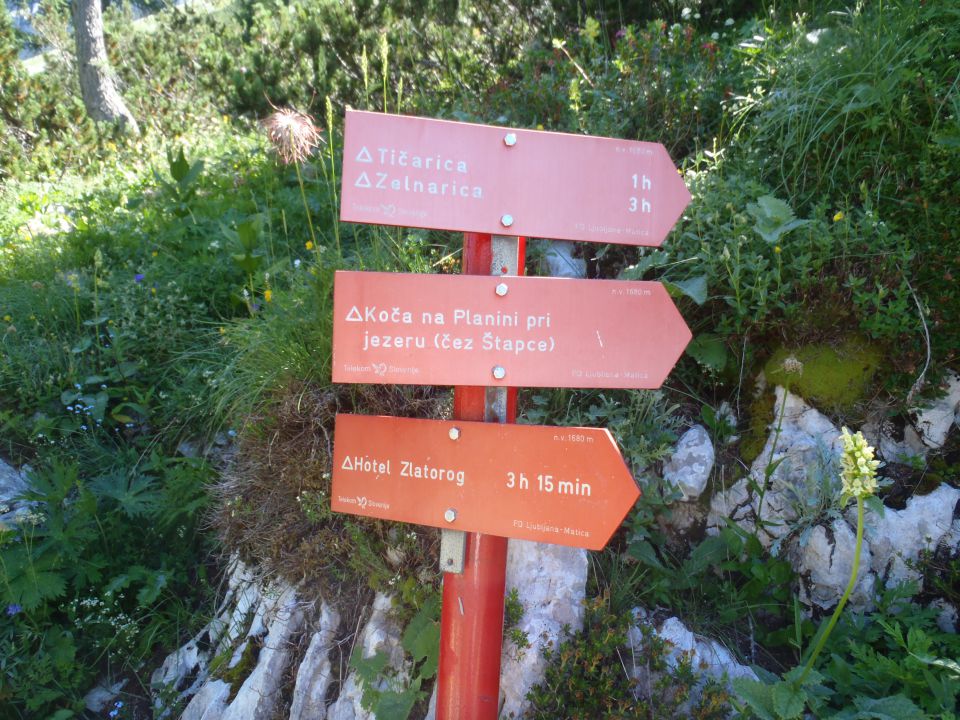 20130802 Komarča,Lepo špičje,Prehodavci - foto povečava