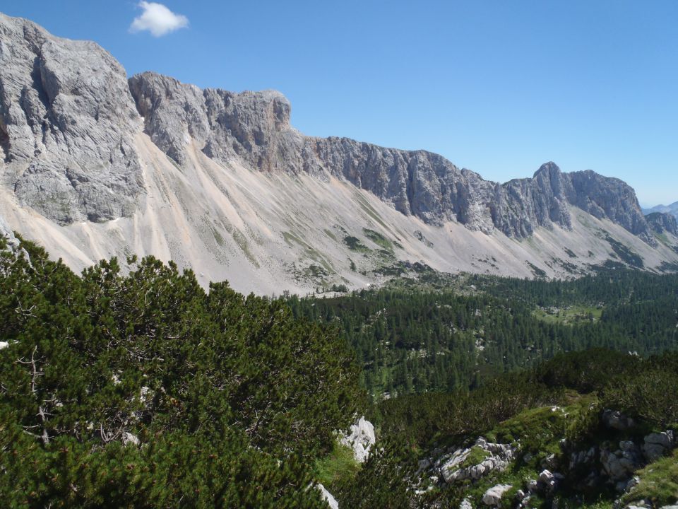 Od Zelnarice do Tičarice.