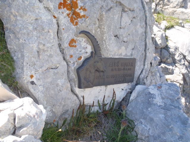 20130802 Komarča,Lepo špičje,Prehodavci - foto