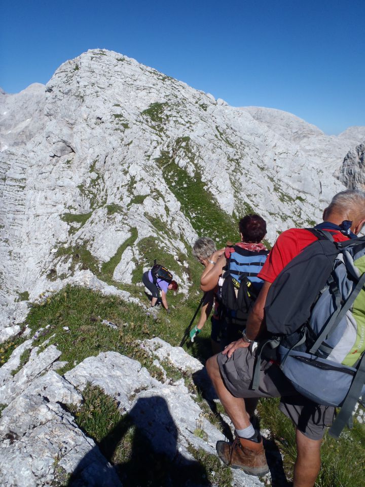 20130802 Komarča,Lepo špičje,Prehodavci - foto povečava