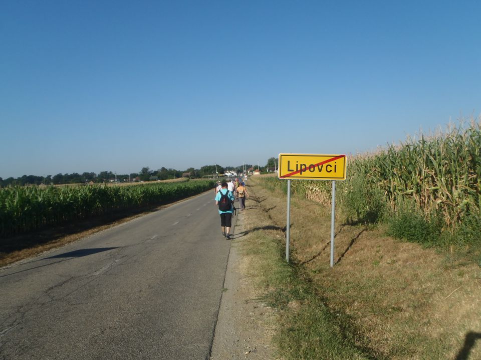 20130803 Po poteh občine Beltinci - foto povečava