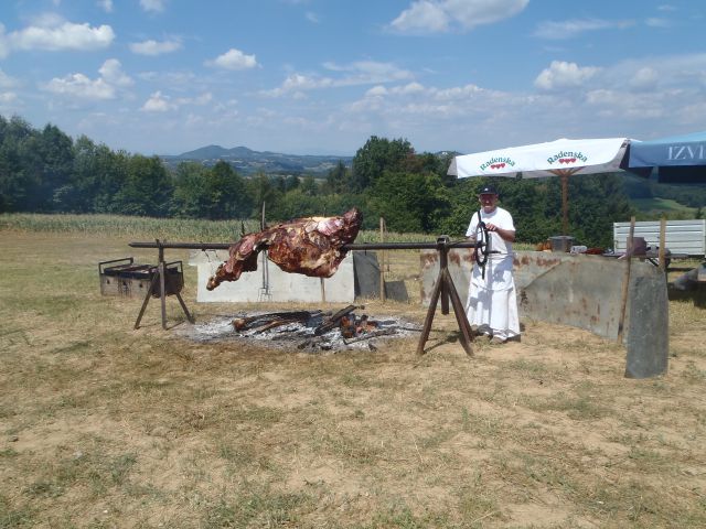 20130811 Otvoritev-Sotinski breg-PPP-5/a - foto