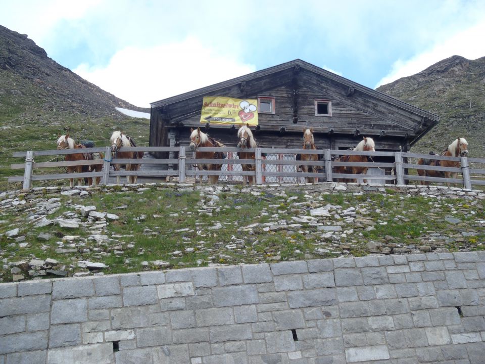 20130815 Grossglokner  - turistično - foto povečava