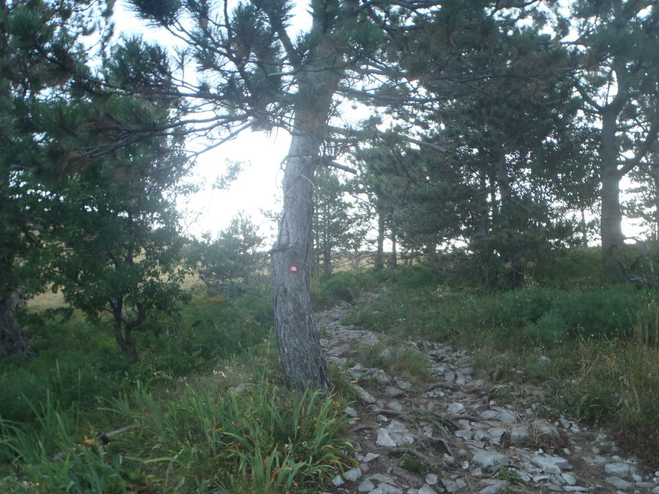 20130818 Slavnik - foto povečava