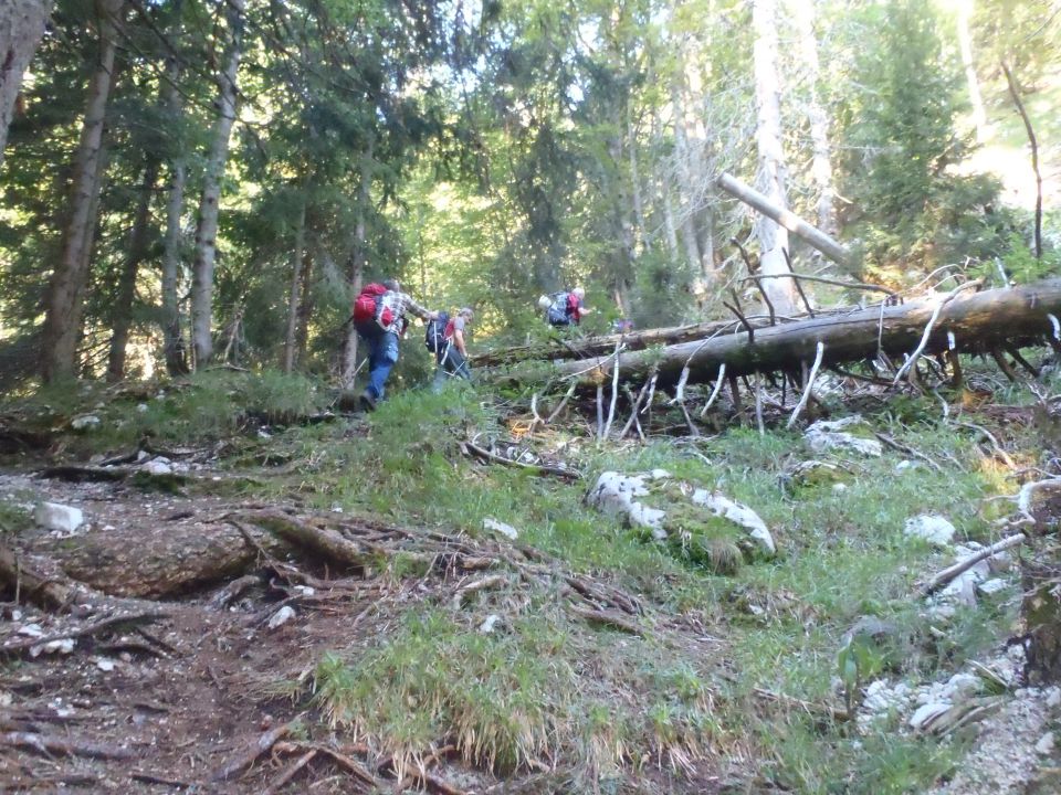 20130830 Vršič-Goličica-Jalovec-Špiček - foto povečava