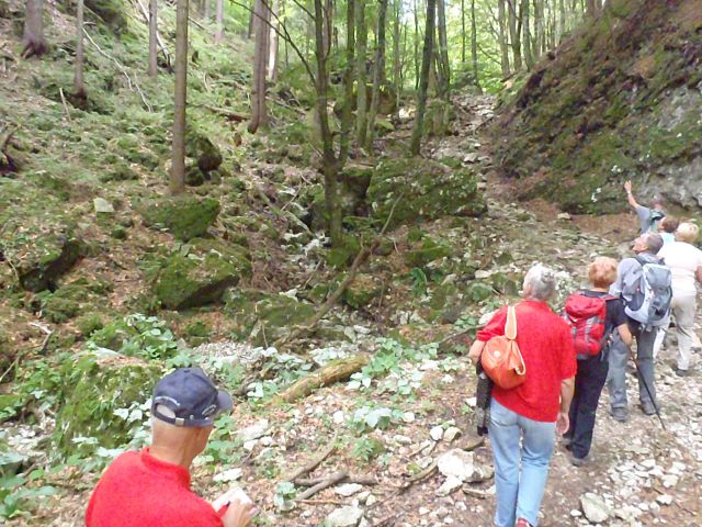 20130831 Poklj.soteska,Radovna,Krma,Mojstrana - foto