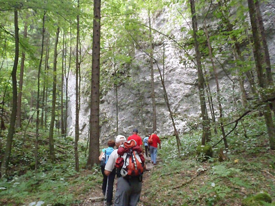 20130831 Poklj.soteska,Radovna,Krma,Mojstrana - foto povečava