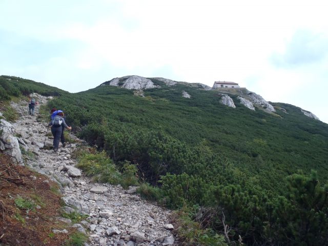 20130913 Geoss-Pivkelj,Vače,Snežnik - foto