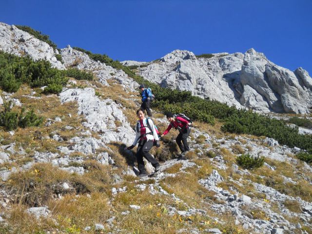 Spust čez vzhodno pot na Košutico (proti Hajnževemu sedlu)