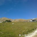 Pot od Doma na Kofcah in prečudovit razgled na Veliki vrh