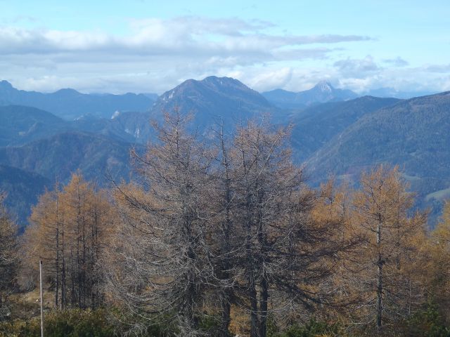 20131021 Uršlja gora - foto