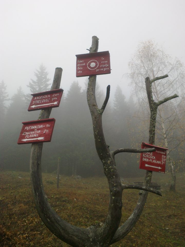 Smerne table ob koči