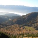 Pogled na planino Konjščico in Bohinjske alpe
