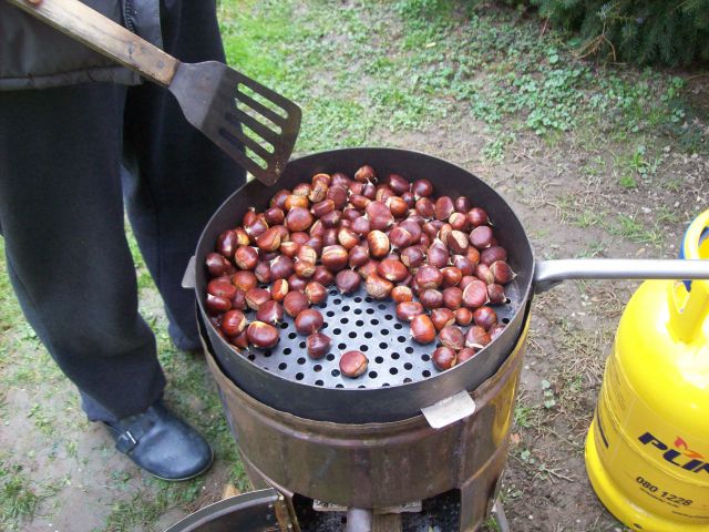 20131103 Žavcarjev vrh - kostanji - foto