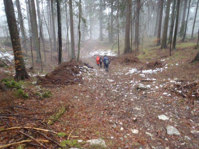 20140104 Menina Semprimož. gor-Borovnica dol - foto