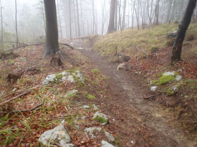 20140104 Menina Semprimož. gor-Borovnica dol - foto