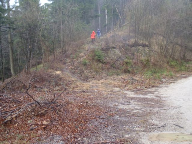 20140104 Menina Semprimož. gor-Borovnica dol - foto