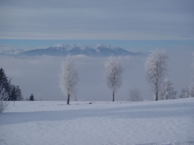 20140126 Košenjak - foto