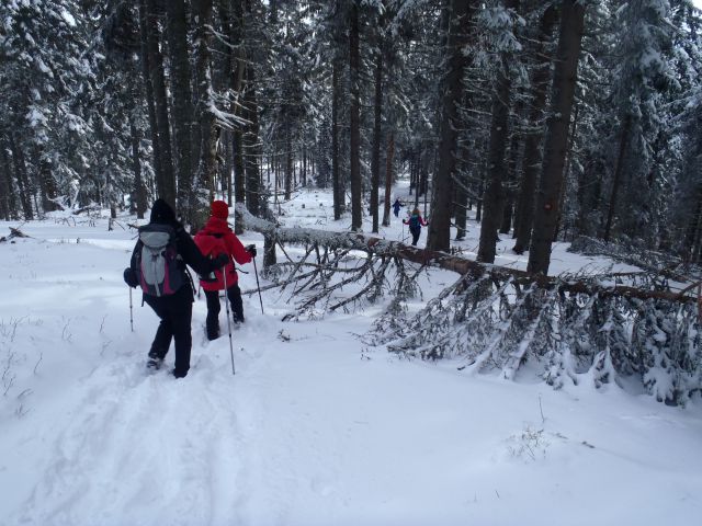 20140126 Košenjak - foto