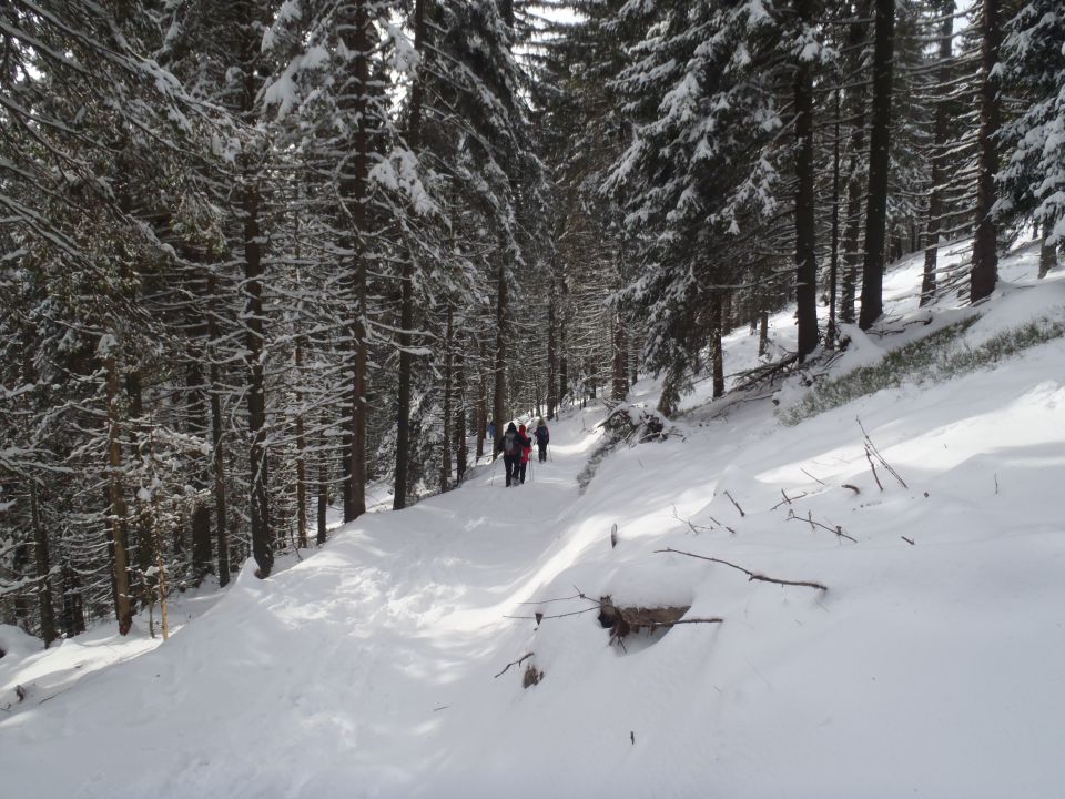 20140126 Košenjak - foto povečava