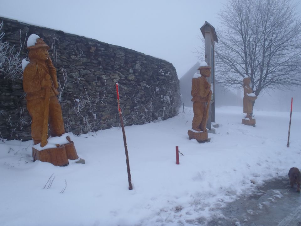 20140126 Košenjak - foto povečava