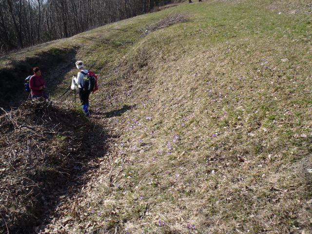 20140309 Prvine-Čemšeniška-Krvavica in nazaj - foto