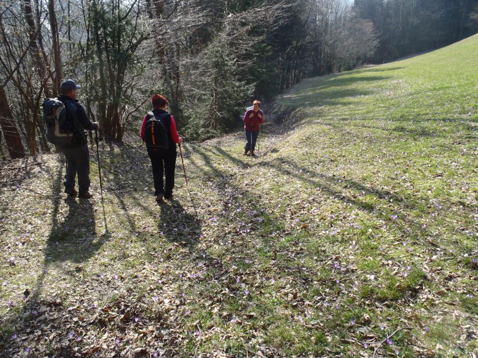 20140309 Prvine-Čemšeniška-Krvavica in nazaj - foto povečava