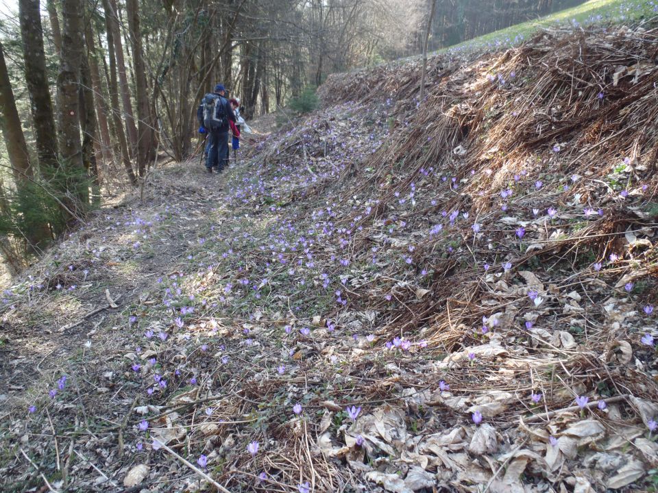 20140309 Prvine-Čemšeniška-Krvavica in nazaj - foto povečava