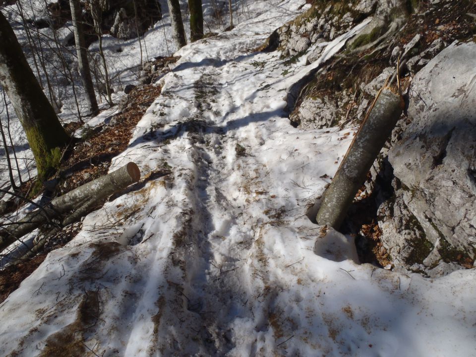 20140314 Ukanc-Komna-Bogatin - foto povečava