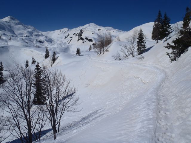 20140314 Ukanc-Komna-Bogatin - foto