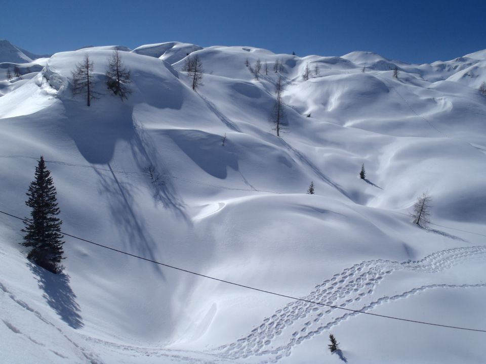 20140314 Ukanc-Komna-Bogatin - foto povečava