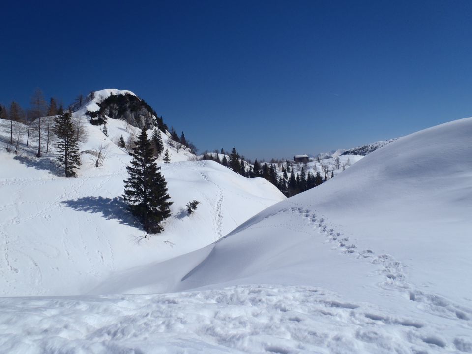 20140314 Ukanc-Komna-Bogatin - foto povečava