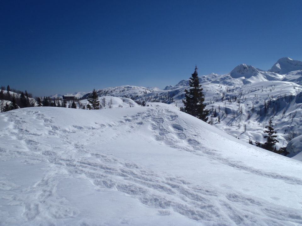 20140314 Ukanc-Komna-Bogatin - foto povečava