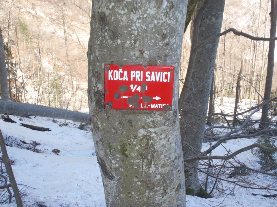 20140314 Ukanc-Komna-Bogatin - foto povečava