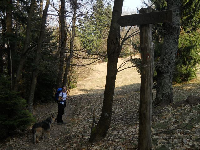 Spust proti Celjski koči po gozdni učni poti