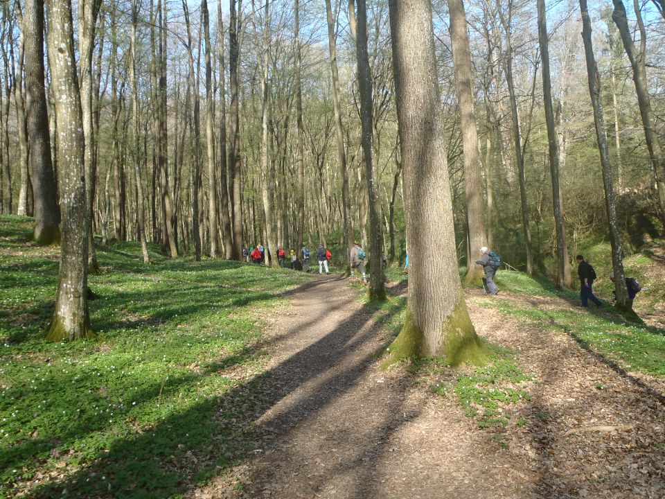 20140322 Memorial Marije Vild - foto povečava