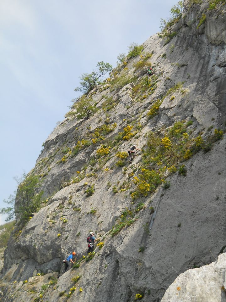Tudi plezalci v steni so obdani z rožicami :)