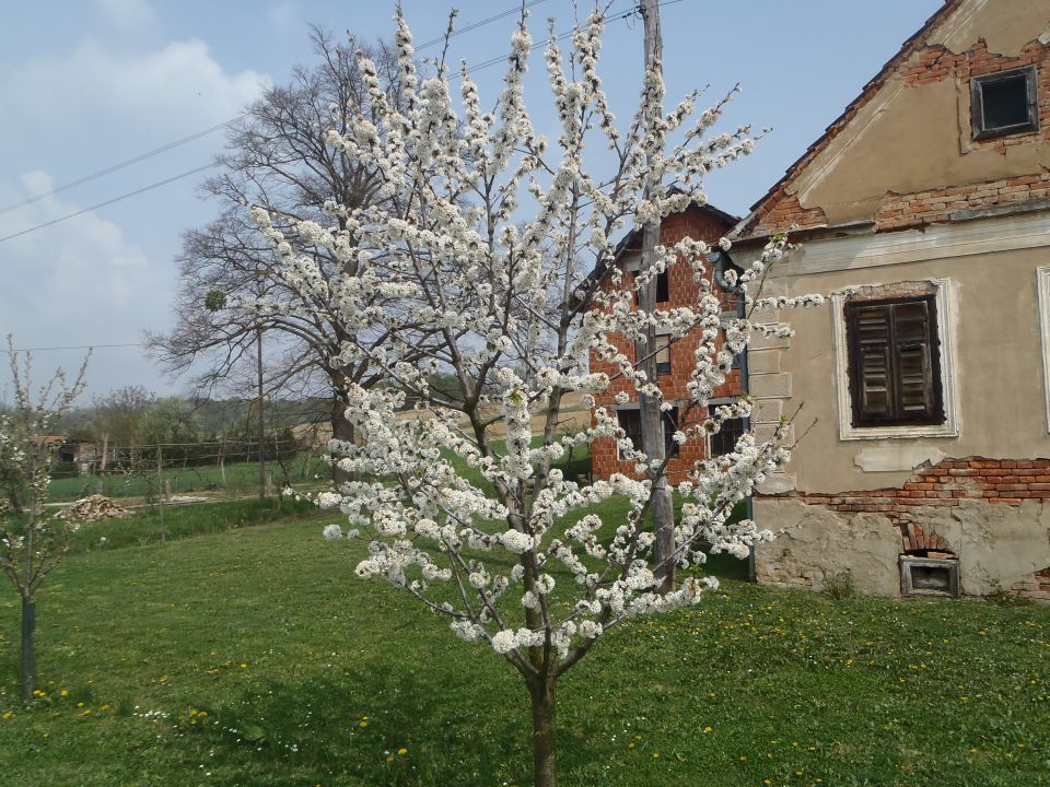 20140406 Po poteh občine Hodoš - foto povečava