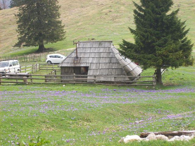 20140406 Velika planina-cvetlična fantazija - foto