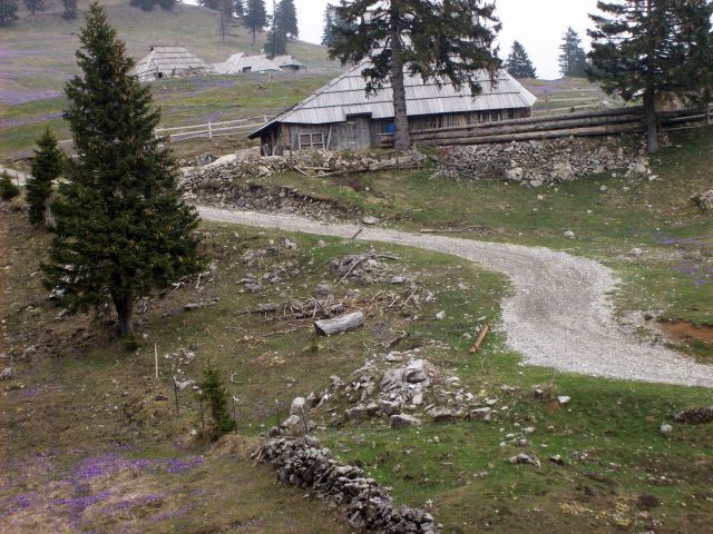 20140406 Velika planina-cvetlična fantazija - foto