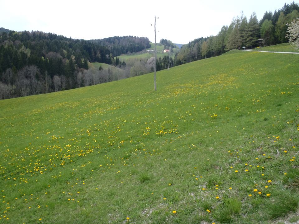 20140413 Šmartno na Poh-Ruška,krožna - foto povečava