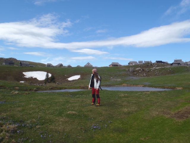 20140417 Velika planina še vedno v cvetju - foto