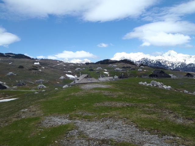 20140417 Velika planina cvete - foto